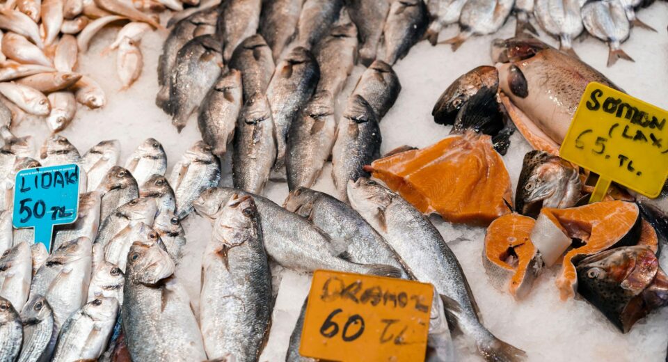 A variety of fresh fish and seafood on ice at a local market, labeled with prices.