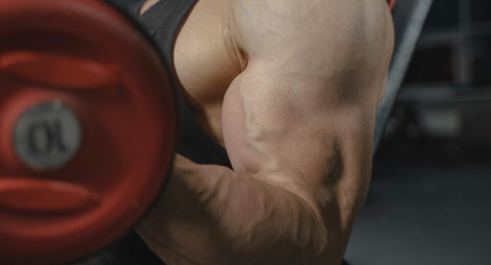 A focused view of a bodybuilder's arm muscles lifting a dumbbell in a gym setting.