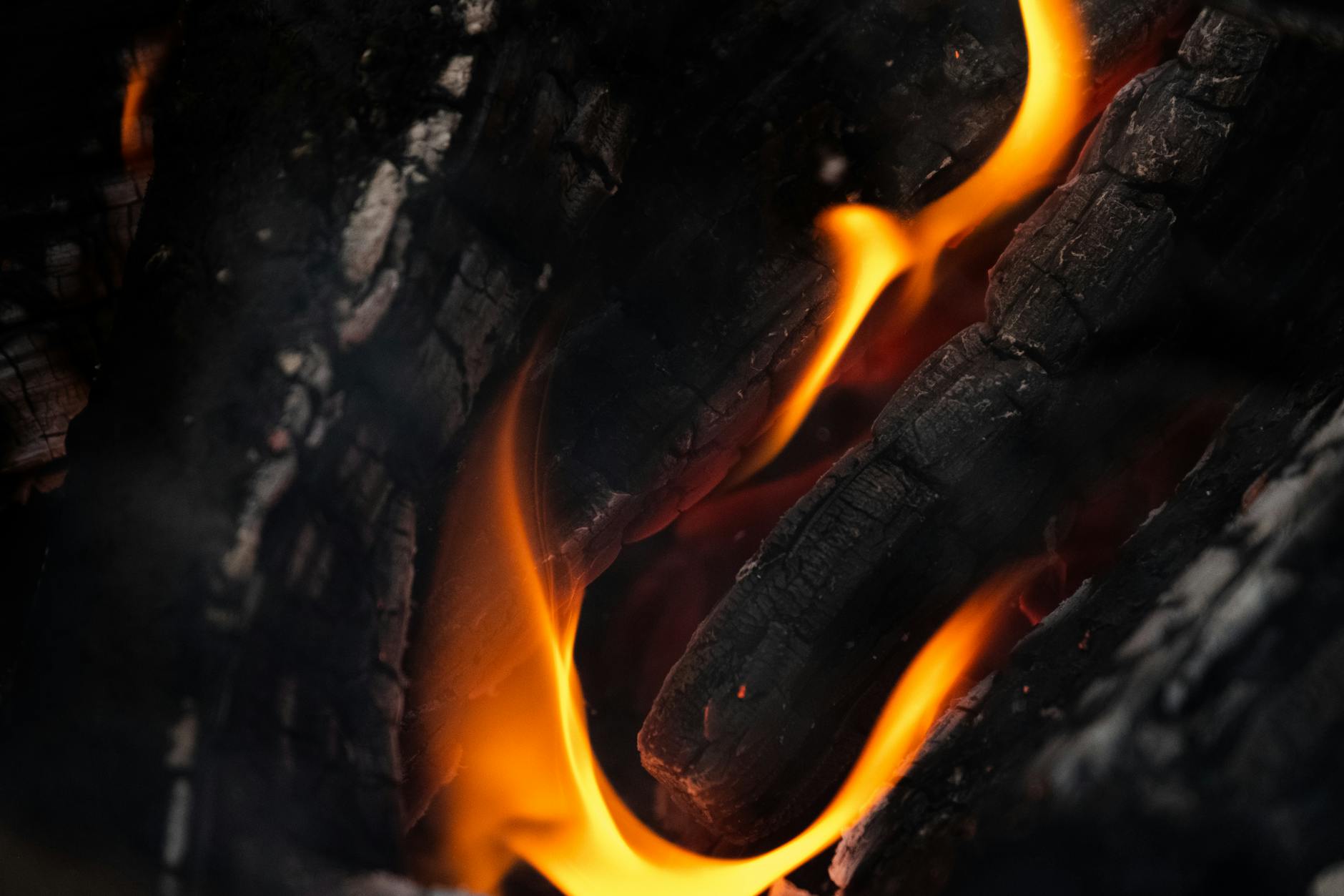 Intense close-up of orange flames and charred wood creating a warm and vibrant scene.
