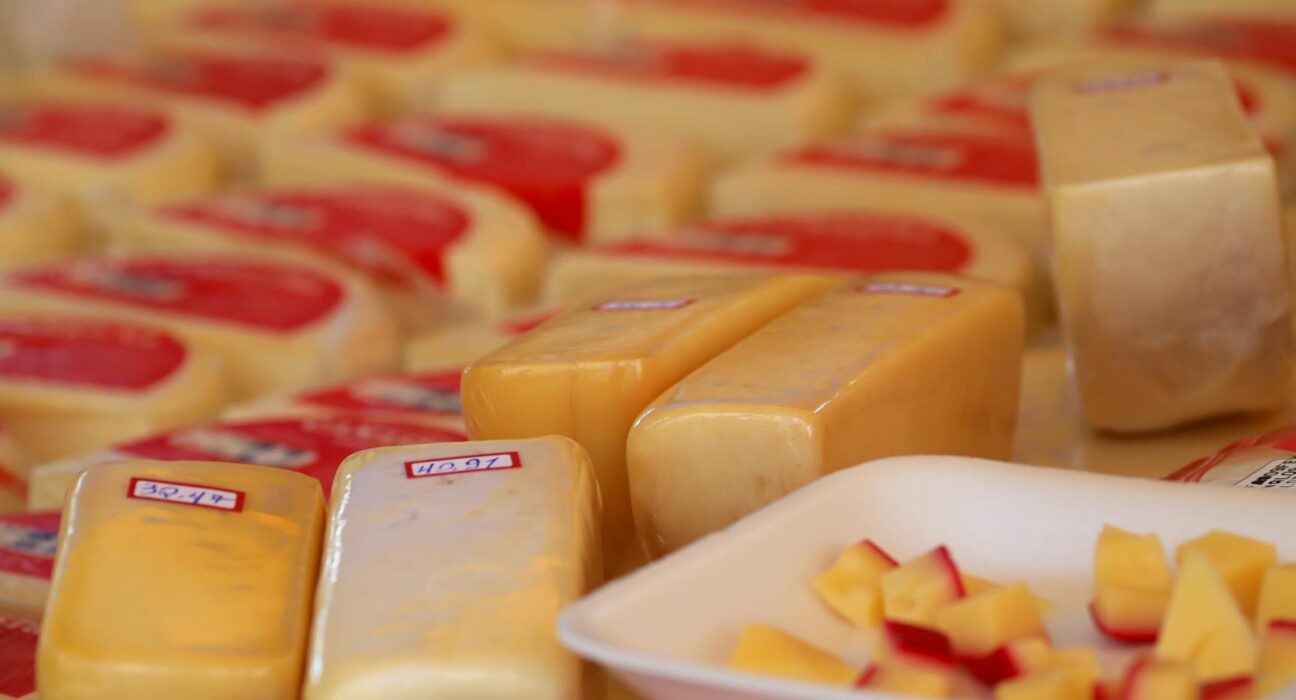Variety of cheese blocks and samples on display at a market stall.