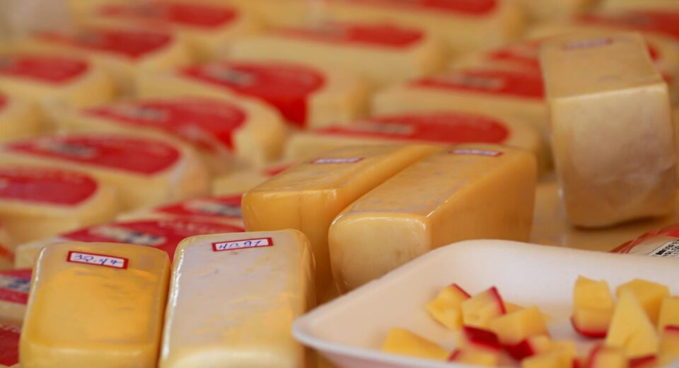 Variety of cheese blocks and samples on display at a market stall.