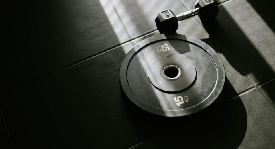 A 15 kg weight plate and dumbbell on a gym floor, lit by sunlight through a window.
