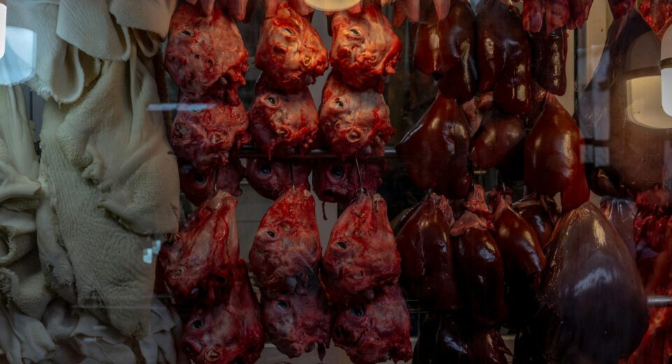 Close-up of various meat and organ cuts hanging in a butcher shop display window.