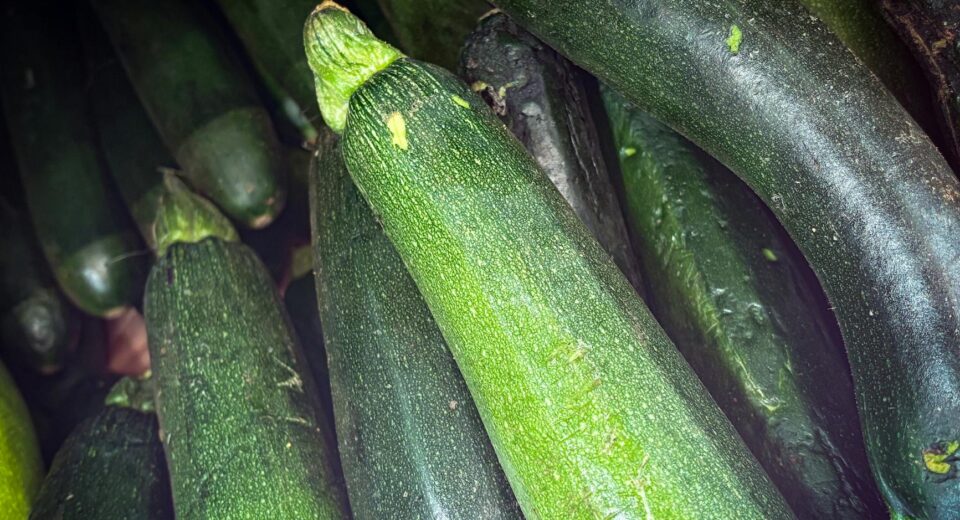 A close-up view of fresh green zucchinis showcasing their vibrant texture.