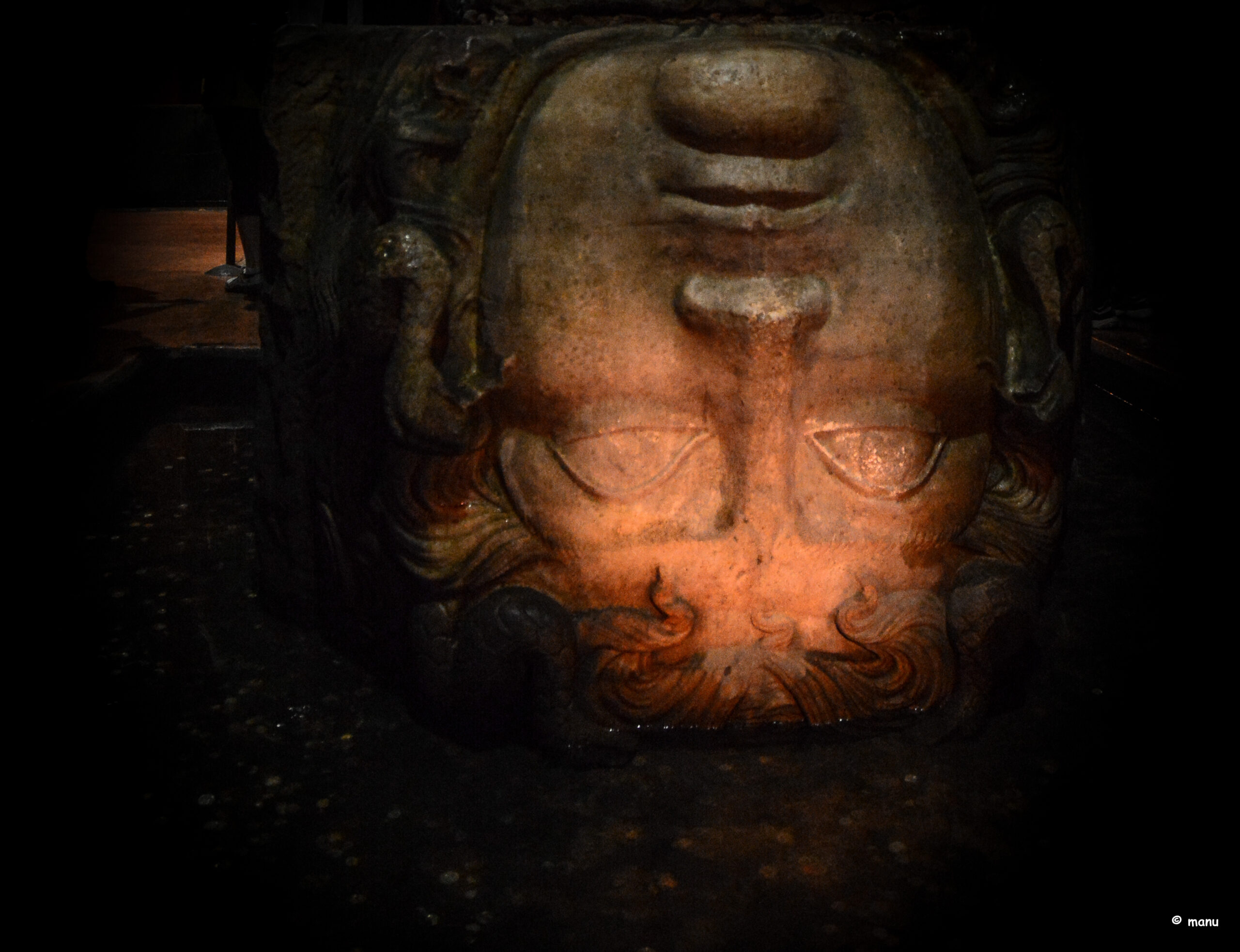 Cursed medusa.......mystery in the cistern (32593938311)